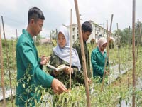 Afternoon College Program Universitas Boyolali Nomor 10